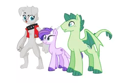 Size: 1276x872 | Tagged: safe, derpibooru import, edit, editor:proto29, oc, oc:crystal clarity, oc:roxy, oc:turquoise blitz, unofficial characters only, diamond dog, dracony, dragon, hybrid, pony, adopted offspring, female, interspecies offspring, male, next generation, offspring, parent:rarity, parent:spike, parents:sparity, redesign, simple background, white background, wings