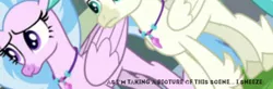 Size: 429x140 | Tagged: angle, camera shot, caption, cropped, derpibooru import, edit, edited screencap, hippogriff, meme, safe, screencap, silverstream, sneezing, source needed, student counsel, terramar, useless source url