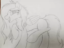 Size: 2016x1512 | Tagged: safe, artist:straighttothepointstudio, derpibooru import, oc, unofficial characters only, pegasus, pony, black and white, cute, fluffy, grayscale, happy, long hair, long mane, long tail, monochrome, pegasus oc, solo, traditional art, wings