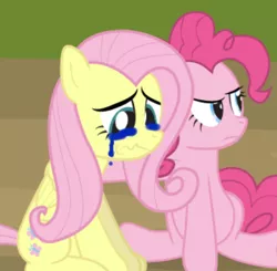 Size: 422x413 | Tagged: safe, artist:dm29, derpibooru import, edit, editor:gooeybird, fluttershy, pinkie pie, earth pony, pegasus, pony, angry, cropped, crying, feeling down, injured, sitting, upset, wavy mouth