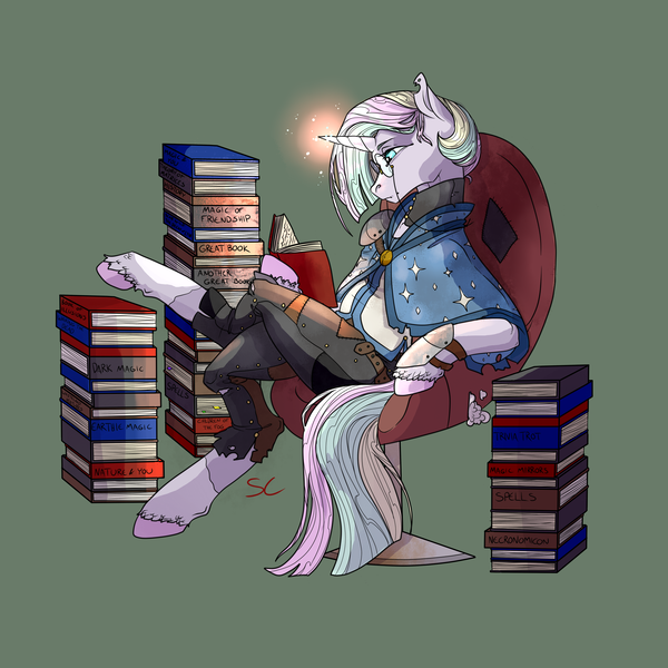 Size: 3000x3000 | Tagged: safe, artist:sourcherry, derpibooru import, oc, unnamed oc, pony, unicorn, armor, book, clothes, glasses, horn glowing, scholar, solo