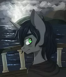 Size: 1700x2000 | Tagged: safe, artist:silbersternenlicht, derpibooru import, oc, oc:shadow, pony, fanfic, fanfic:a growing shadow, boat, fanfic art, fanfic cover, male, ocean, solo, stallion
