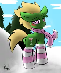 Size: 1000x1200 | Tagged: safe, artist:kingkrail, derpibooru import, oc, oc:boozy breath, unofficial characters only, earth pony, pony, blushing, breath, clothes, cloud, scarf, snow, socks, solo, striped socks