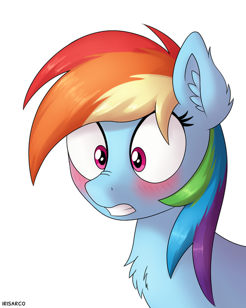 Size: 4000x5000 | Tagged: safe, artist:irisarco, derpibooru import, rainbow dash, pegasus, pony, blushing, chest fluff, cute, dashabetes, ear fluff, embarrassed, female, mare, nose wrinkle, shocked, simple background, solo, white background