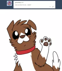 Size: 800x920 | Tagged: artist:askwinonadog, ask, ask winona, cute, derpibooru import, dog, looking at you, paw pads, paws, safe, simple background, smiling, solo, toe beans, tumblr, underpaw, white background, winona, winonabetes