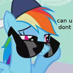 Size: 392x392 | Tagged: safe, derpibooru import, edit, edited screencap, screencap, rainbow dash, pegasus, pony, may the best pet win, season 2, backwards ballcap, baseball cap, cap, caption, clothes, cropped, exploitable meme, female, grammar error, hat, image macro, mare, meme, misspelling, needs more jpeg, reaction image, solo, sunglasses, text, text edit, unamused