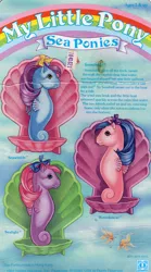 Size: 549x984 | Tagged: backcard, derpibooru import, g1, official, safe, sealight, seawinkle, story, wavedancer