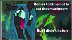 Size: 705x395 | Tagged: caption, derpibooru import, drugs, edit, edited screencap, exploitable meme, funny, hallucination, high, i didn't listen, image macro, implied drugs, implied drug use, meme, queen chrysalis, safe, screencap, shrooms, text, the mean 6