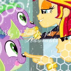 Size: 640x640 | Tagged: safe, derpibooru import, spike, sunset shimmer, dog, human, equestria girls, caress, female, heart eyes, male, shipping, smiley face, spike the dog, straight, sunsetspike, wingding eyes