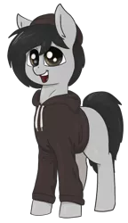 Size: 695x1206 | Tagged: safe, artist:t72b, derpibooru import, oc, oc:mod pone the mod, earth pony, pony, 2020 community collab, derpibooru community collaboration, beanie, clothes, hat, hoodie, male, simple background, solo, stallion, transparent background