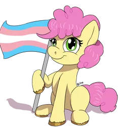 Size: 2480x2617 | Tagged: safe, artist:mcsplosion, derpibooru import, li'l cheese, earth pony, pony, the last problem, flag, headcanon, male, pride, pride flag, simple background, trans boy, transgender, transgender pride flag, transparent background