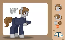 Size: 1465x900 | Tagged: safe, artist:99999999000, derpibooru import, oc, oc:holly stone, earth pony, pony, balance, business suit, chinese text, clothes, female, reference sheet, solo, watch, wristwatch