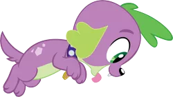 Size: 2882x1620 | Tagged: safe, alternate version, artist:efernothedragon, derpibooru import, spike, spike the regular dog, dog, equestria girls, equestria girls series, cute, puppy, simple background, solo, spikabetes, spike's dog collar, transparent background, vector