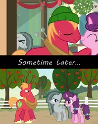 Size: 1280x1616 | Tagged: artist needed, safe, derpibooru import, edit, edited screencap, screencap, big macintosh, marble pie, sugar belle, earth pony, pony, unicorn, best gift ever, a happy ending for marble pie, apple, apple tree, concerned, confused, conversation, episode idea, everything went better than expected, fanfic idea, female, food, friendship, friendshipping, happy ending, heartbreak, heartbroken marble, hilarity ensues, husband and wife, looking at each other, male, married couple, shipping, shocked, shocked expression, side chick, silence, smiling, straight, stunned, sugarmac, surprised, surprised face, sweet apple acres, tree, youtube link, youtube link in the description