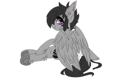 Size: 1920x1200 | Tagged: safe, artist:brainiac, derpibooru import, oc, oc:bluelight, unofficial characters only, pegasus, pony, 2020 community collab, derpibooru community collaboration, chest fluff, female, simple background, solo, transparent background