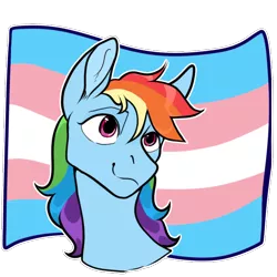 Size: 700x700 | Tagged: safe, artist:malphym, derpibooru import, rainbow dash, pegasus, pony, artist interpretation, bust, female, headcanon, image, lgbt headcanon, mare, mouthpiece, png, pride, pride flag, simple background, solo, trans girl, transgender, transgender pride flag, transparent background