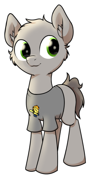 Size: 1264x2152 | Tagged: safe, artist:wenni, derpibooru import, spitfire, oc, oc:dim, unofficial characters only, earth pony, pony, 2020 community collab, derpibooru community collaboration, clothes, fluffy, male, shirt, simple background, solo, stallion, transparent background