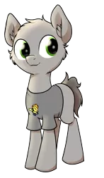 Size: 1264x2152 | Tagged: safe, artist:wenni, derpibooru import, spitfire, oc, oc:dim, unofficial characters only, earth pony, pony, 2020 community collab, derpibooru community collaboration, clothes, fluffy, male, shirt, simple background, solo, stallion, transparent background