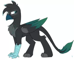 Size: 1270x1025 | Tagged: safe, artist:beardie, derpibooru import, oc, oc:maximilian kohler, unofficial characters only, changeling, gryphon, changeling oc, disguise, disguised changeling, griffon oc, leonine tail, male, simple background, solo, talons, white background