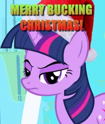 Size: 494x583 | Tagged: safe, derpibooru import, edit, edited screencap, screencap, twilight sparkle, unicorn, friendship is magic, caption, christmas, cropped, grumpy, hat, holiday, image macro, santa hat, solo, text, twilight's canterlot home, unicorn twilight