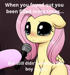 Size: 391x417 | Tagged: suggestive, artist:moozua, derpibooru import, edit, fluttershy, pegasus, pony, big eyes, blushing, caption, crying, crying cat, cute, dilated pupils, female, floppy ears, grammar error, hoof hold, image macro, implied cum, implied sex, infertility, looking at you, mare, meme, microphone, missing cutie mark, ponified animal photo, sad, sadorable, solo focus, teary eyes, text, when x and y