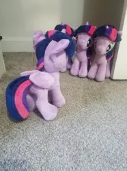 Size: 349x468 | Tagged: safe, derpibooru import, twilight sparkle, twilight sparkle (alicorn), alicorn, pony, 4de, assimilation, character to character, closet, implied transformation, irl, multeity, photo, plushie, self ponidox, sparkle sparkle sparkle