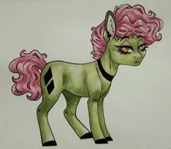 Size: 1024x887 | Tagged: safe, artist:twixyamber, derpibooru import, oc, earth pony, pony, female, mare, solo, traditional art