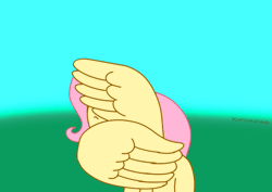 Size: 680x482 | Tagged: animated, artist:katorvino, derpibooru import, fluttershy, gif, hiding behind wing, safe, scared, source needed, useless source url, wing hands, wings