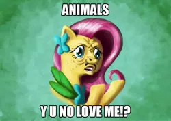 Size: 900x638 | Tagged: safe, artist:br0ny, derpibooru import, fluttershy, pegasus, pony, the best night ever, bust, caption, clothes, costume, dress, faic, gala dress, image macro, impact font, meme, solo, text, y u no