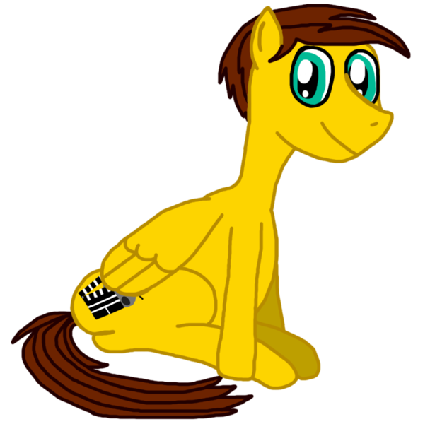 Size: 810x800 | Tagged: safe, artist:sb1991, derpibooru import, oc, oc:film reel, unofficial characters only, pegasus, pony, 2020 community collab, derpibooru community collaboration, looking at you, male, simple background, sitting, solo, transparent background