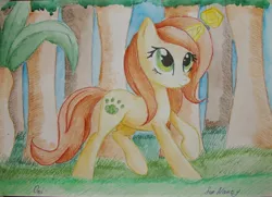 Size: 3390x2458 | Tagged: safe, artist:0okami-0ni, derpibooru import, oc, oc:nancy, unofficial characters only, unicorn, forest, solo, traditional art