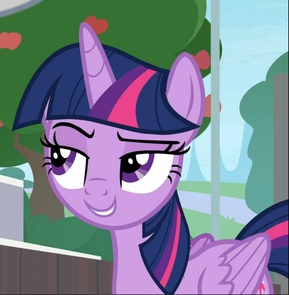 Size: 917x939 | Tagged: safe, derpibooru import, screencap, twilight sparkle, twilight sparkle (alicorn), alicorn, pony, 2 4 6 greaaat, cropped, female, lidded eyes, mare, raised eyebrow, smiling, smirk, smuglight sparkle, solo