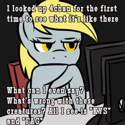 Size: 1024x1024 | Tagged: artist needed, source needed, safe, derpibooru import, derpy hooves, pegasus, pony, 4chan, are you serious, computer screen, female, mare, meme, mouthpiece, normies, text, unamused, what's wrong with this place