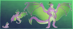 Size: 7570x3008 | Tagged: absurd resolution, age progression, artist:turnipberry, derpibooru import, dragon, green background, male, older, older spike, safe, simple background, spike, spread wings, wing claws, winged spike, wings