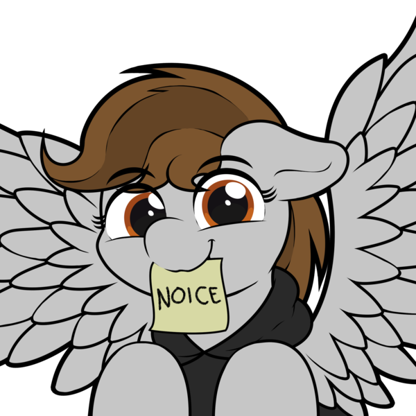 Size: 2160x2160 | Tagged: safe, artist:ljdamz1119, derpibooru import, oc, oc:penny page, unofficial characters only, pegasus, pony, clothes, female, floppy ears, hoodie, looking at you, mare, mouth hold, noice, note, simple background, smiling, solo, spread wings, transparent background, wings