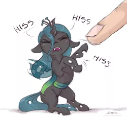 Size: 2400x2200 | Tagged: safe, artist:buttersprinkle, derpibooru import, queen chrysalis, changeling, changeling queen, pony, adorable distress, behaving like a cat, catling, cute, cutealis, eyes closed, female, finger, floppy ears, high res, hissing, offscreen character, offscreen human, simple background, tiny, tiny ponies, white background