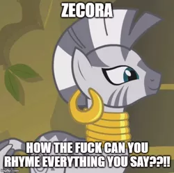 Size: 501x498 | Tagged: bridle gossip, caption, cropped, derpibooru import, edit, edited screencap, image macro, meme, safe, screencap, solo, text, vulgar, zebra, zecora