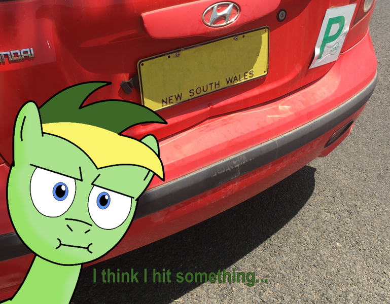 Size: 974x760 | Tagged: safe, artist:didgereethebrony, derpibooru import, oc, oc:didgeree, pegasus, pony, :i, barely pony related, car, damaged, dent, dialogue, hyundai, hyundai click, hyundai getz, i mean i see, irl, obligatory pony, photo, ponies in real life, shadow, solo, unamused