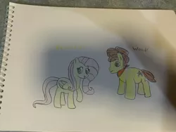 Size: 4032x3024 | Tagged: safe, artist:rohanartlife, derpibooru import, fluttershy, earth pony, pegasus, pony, crack shipping, crossover, female, male, mare, pixar, shipping, toy story, traditional art, woody, woodyshy