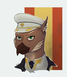 Size: 915x1050 | Tagged: safe, artist:callsign-echo, derpibooru import, oc, oc:alexander kemerskai, unofficial characters only, gryphon, equestria at war mod, beak, bust, cap, clothes, flag, griffon oc, hat, male, necktie, portrait, solo