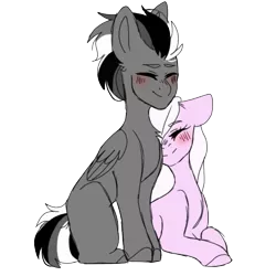 Size: 3200x3200 | Tagged: safe, artist:sugarbabie, derpibooru import, edit, editor:ciaran, oc, oc:eclipse, oc:silver cloud, unofficial characters only, pegasus, pony, 2020 community collab, derpibooru community collaboration, chest fluff, couple, cute, duo, eyes closed, female, love, nuzzling, prone, simple background, sitting, transparent background