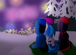 Size: 4595x3300 | Tagged: safe, artist:agkandphotomaker2000, derpibooru import, vinyl scratch, oc, oc:arnold the pony, oc:pony video maker, pegasus, pony, unicorn, 2020, canon x oc, clothes, female, fireworks, male, new year, new years eve, ponyville, rear view, scarf, shipping, sitting, snow, straight, tree, videoscratch, winter, winter hat