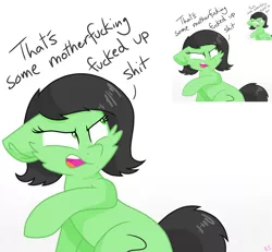 Size: 1817x1678 | Tagged: safe, artist:rainbow eevee, derpibooru import, edit, oc, oc:anonfilly, unofficial characters only, pony, angry, dialogue, droste effect, female, filly, fucked up, inception, looking at something, meme, open mouth, recursion, simple background, text, vulgar, white background, why