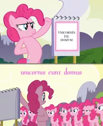 Size: 1024x1253 | Tagged: safe, derpibooru import, edit, edited screencap, screencap, pinkie pie, earth pony, pony, too many pinkie pies, clone, exploitable, latin, monty python, monty python's life of brian, pinkie clone