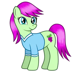 Size: 1600x1500 | Tagged: safe, artist:fathzoli, derpibooru import, oc, oc:grappy grape, earth pony, pony, 2020 community collab, derpibooru community collaboration, clothes, female, original character do not steal, simple background, smiley face, solo, transparent background