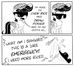 Size: 1024x911 | Tagged: artist:chopsticks, comic, derpibooru import, dialogue, hat, male, monochrome, oc, oc:chopsticks, pegasus, reference, safe, solo, sunglasses, text, unofficial characters only