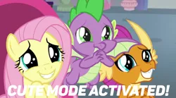 Size: 748x417 | Tagged: safe, derpibooru import, edit, edited screencap, screencap, fluttershy, smolder, spike, dragon, pegasus, pony, sweet and smoky, cute, cute mode activated, dragoness, female, male, meme, puppy dog eyes, shyabetes, smolderbetes, spikabetes, text, wide eyes, winged spike