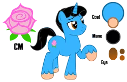 Size: 2409x1563 | Tagged: safe, artist:darkstorm619, derpibooru import, oc, oc:dew drop, unofficial characters only, unicorn, cutie mark, fetlock tuft, male, reference sheet, simple background, solo, transparent background