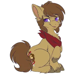 Size: 670x670 | Tagged: safe, artist:red_moonwolf, derpibooru import, oc, oc:lionheart, unofficial characters only, pony, 2020 community collab, derpibooru community collaboration, bandana, scruffy, sidemouth, simple background, sitting, smiling, smirk, solo, transparent background, unshorn fetlocks
