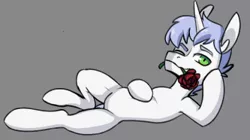 Size: 333x186 | Tagged: artist needed, source needed, safe, derpibooru import, oc, pony, unicorn, flower, flower in mouth, looking at you, mouth hold, rose, rose in mouth, side, solo, winking at you